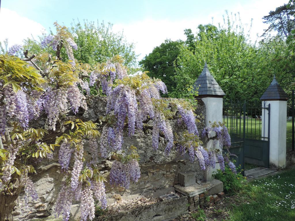 Bed and Breakfast Cedre Et Charme Saint-Branchs Exterior foto